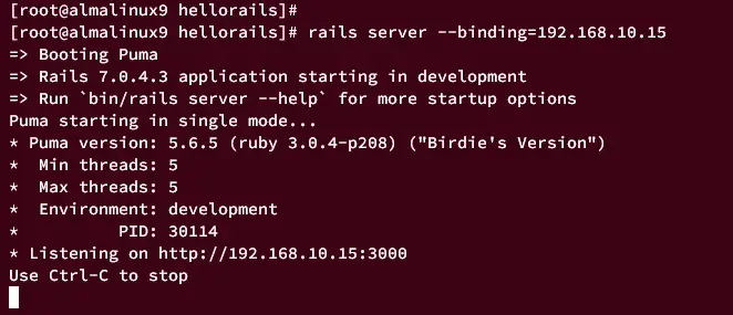 rails run server