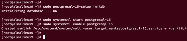 initialize postgresql