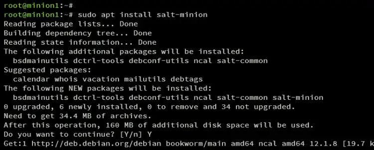 install salt-minion