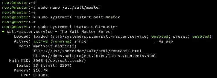 verify salt master
