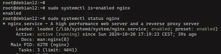 check nginx service status