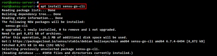install sensu cli