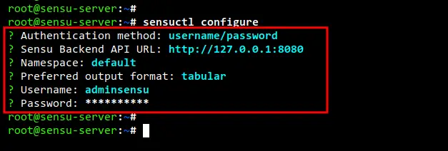 configure sensuctl