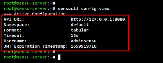 sensuctl config view
