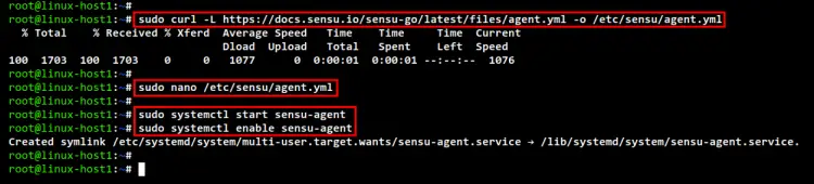 configure sensu agent