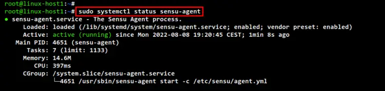 check sensu agent