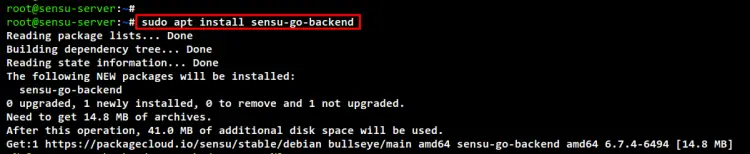 install sensu backend