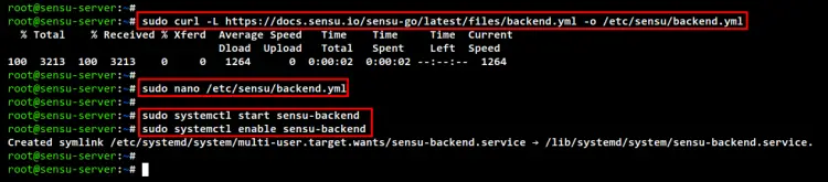 configure sensu backend