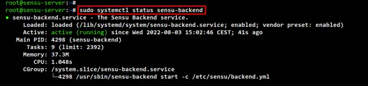 check sensu backend service
