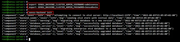 initialize sensu backend