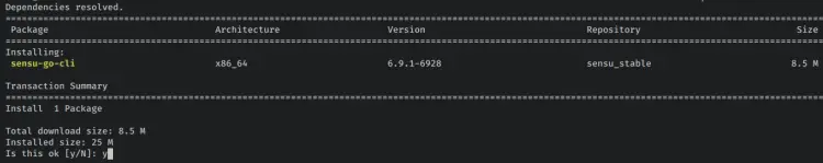 install sensuctl