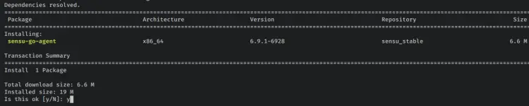 install sensu agent