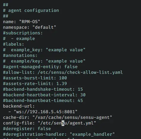 setup sensu agent