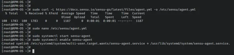 start sensu agent