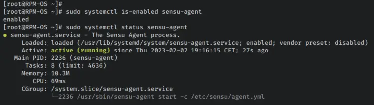 verify sensu agent