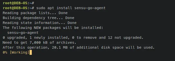 install sensu agent