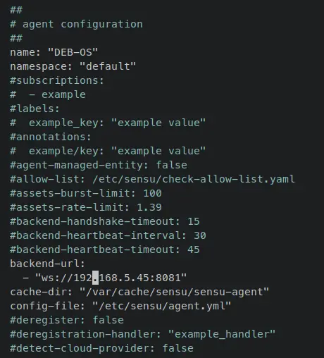 setup sensu agent