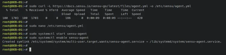 start sensu agent