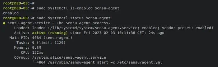 verify sensu agent