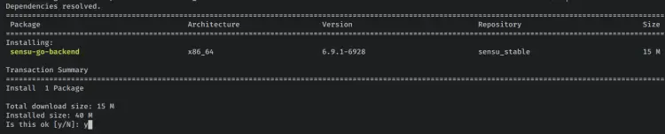 install sensu backend