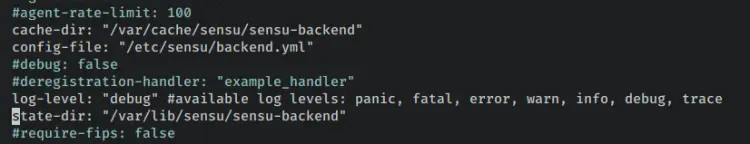 configure sensu backend
