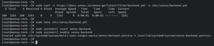 start sensu backend