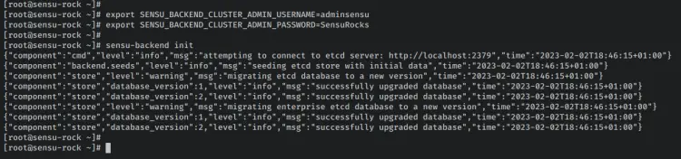 initialize sensu backend