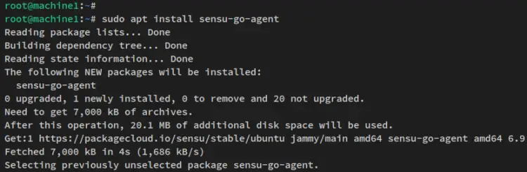 install sensu-agent