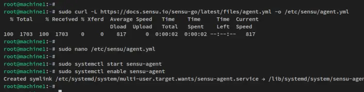 sensu agent config and start