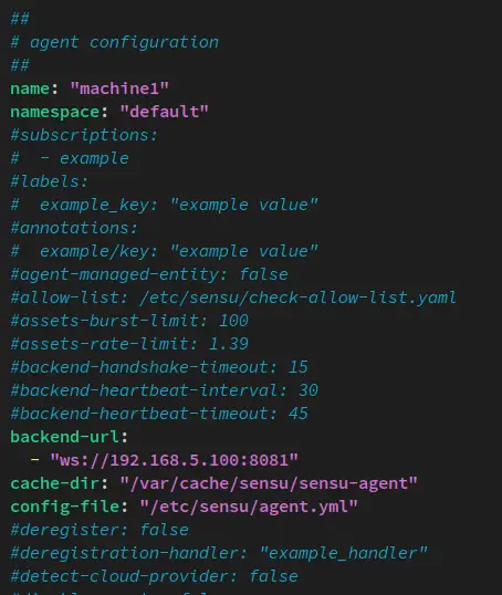 sensu agent config