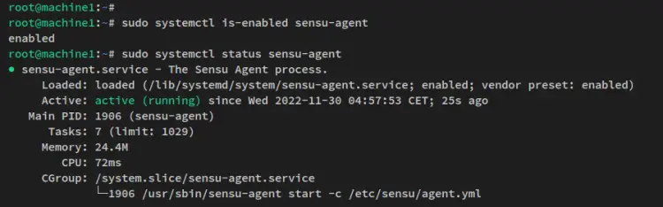 verify sensu agent