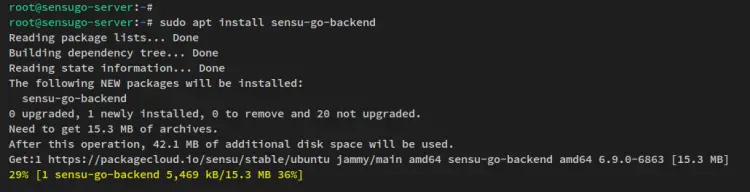 install sensu go