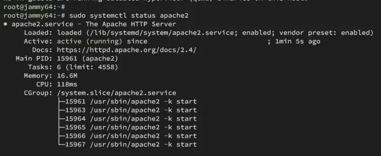 check apache