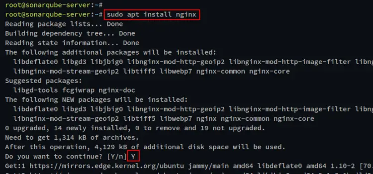 install nginx