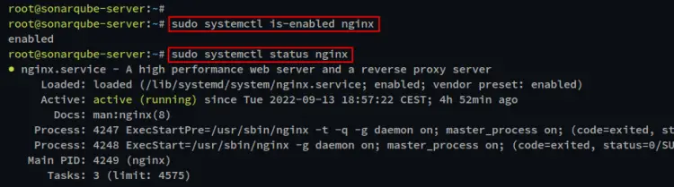 check nginx