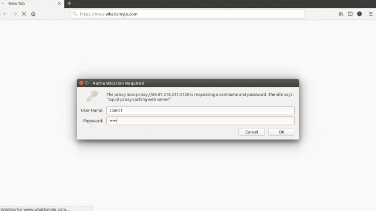 Authenticate at proxy server