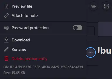 Standard Notes File Options