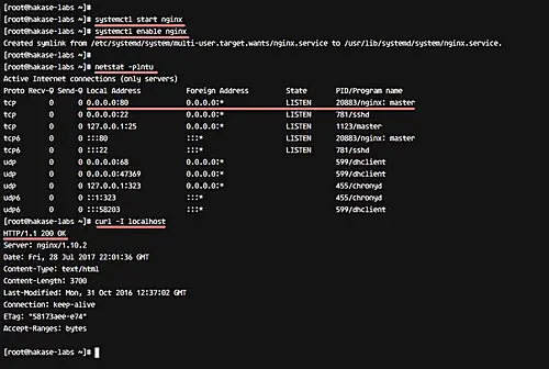 Check if Nginx listens on the correct ports