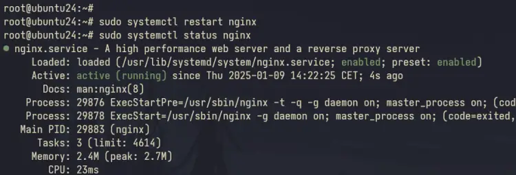 check nginx