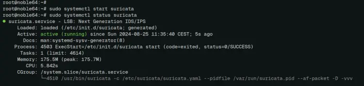 verify service