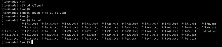 node1 create files