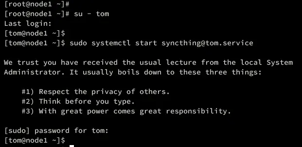initialize syncthing