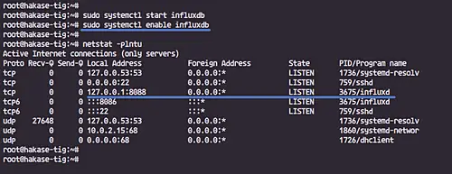 Check open ports with netstat