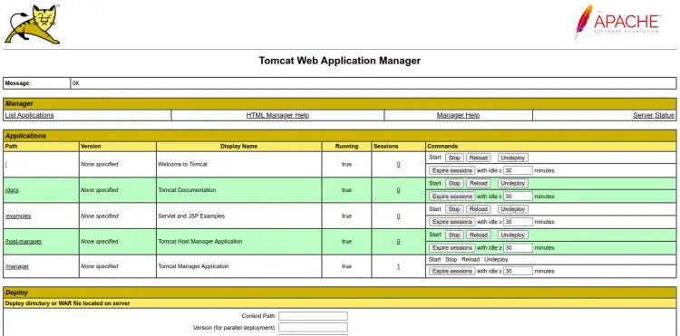 Apache Tomcat dashboard