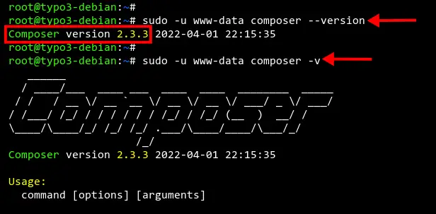 Checking Composer version
