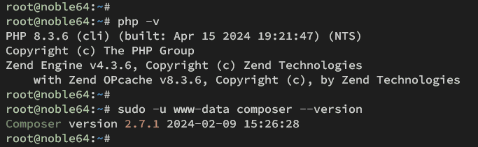 check php and composer