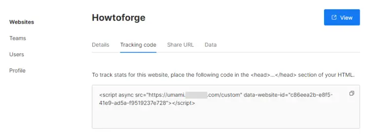 Umami Tracking Code