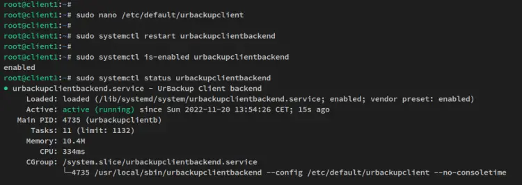 urbackup client status