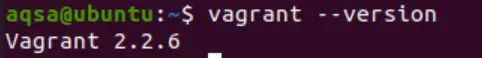 Check Vagrant version