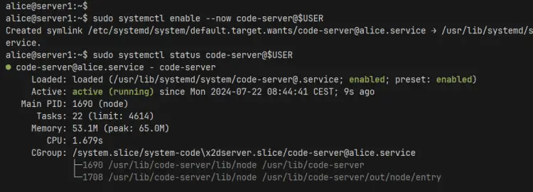 start and verify code-server